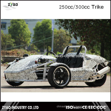 CEE 250cc Reverse Trike